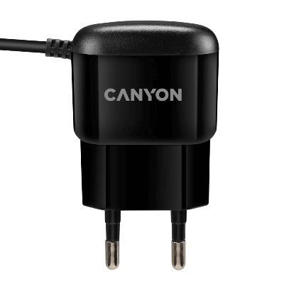 Зарядное устройство сетевое Canyon CNE-CHA044B Wall Charger MicroUSB (черный)